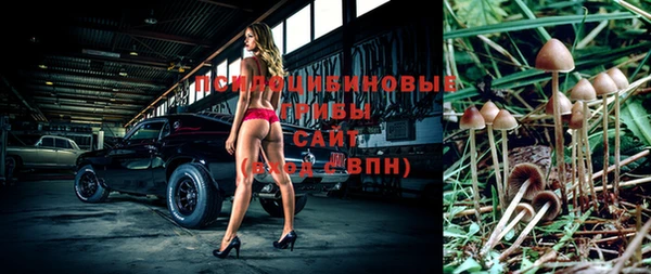 ешки Алзамай