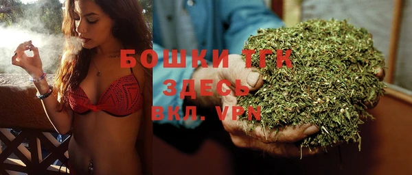 ешки Алзамай