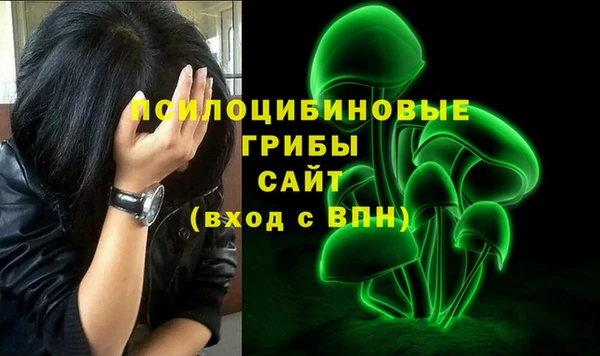крисы Алексеевка