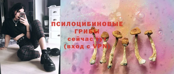 ешки Алзамай