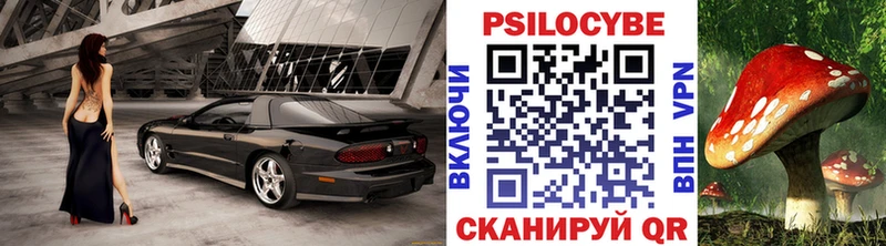 Псилоцибиновые грибы Psilocybine cubensis  Жирновск 